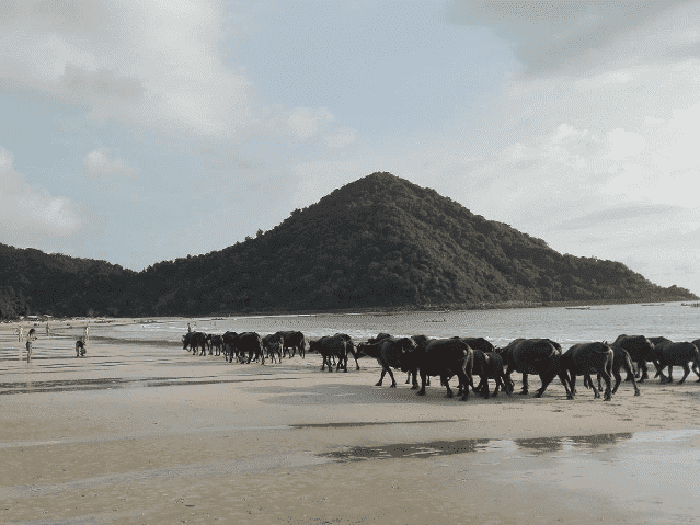 Lombok 1