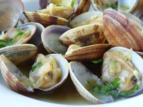 Almejas - gastronomía Asturias